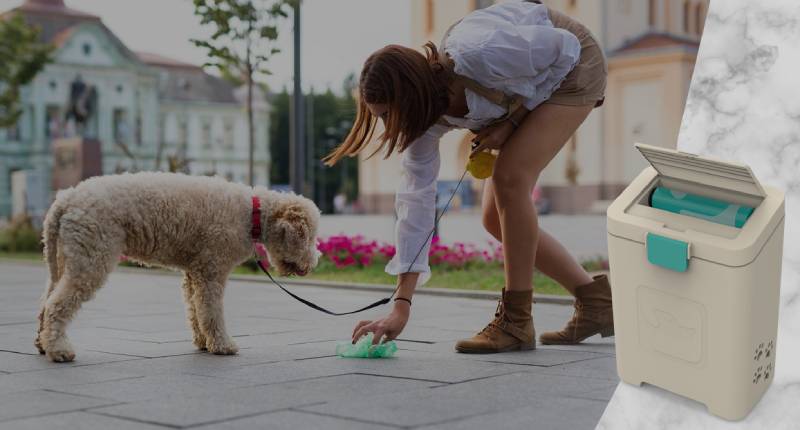 Be The Envy Of Your Neighbors: Get A Pet Waste Disposal System post thumbnail image