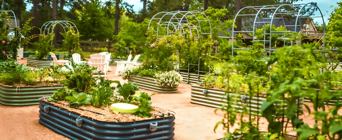 Benefits Of Growing Vegetables In Galvanized Raised Bed Planter post thumbnail image